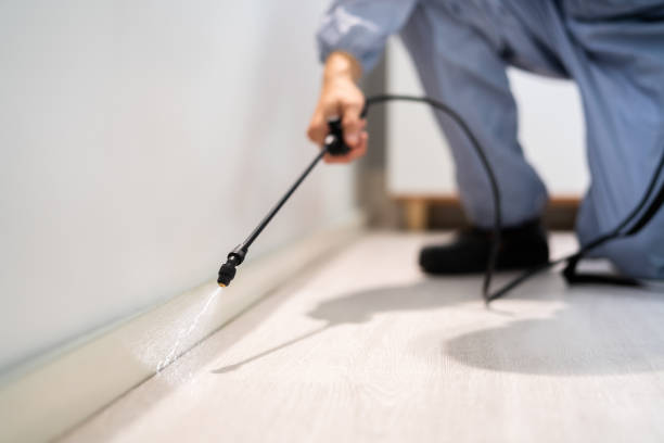 Licensed Cockroach Control service in Sterling, VA - Nex Pest Control