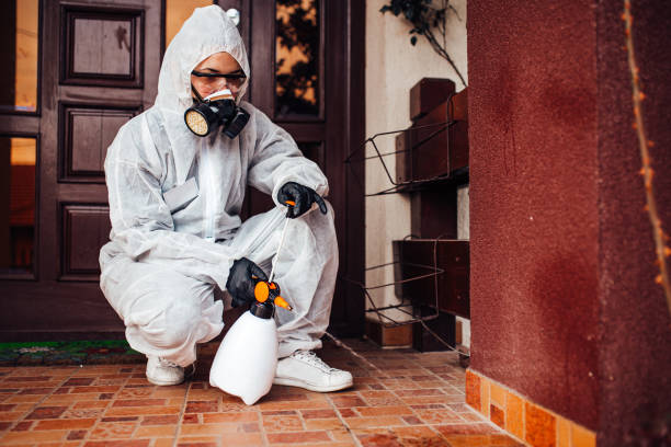 Reliable Cockroach Control contractor in Sterling, VA by Nex Pest Control